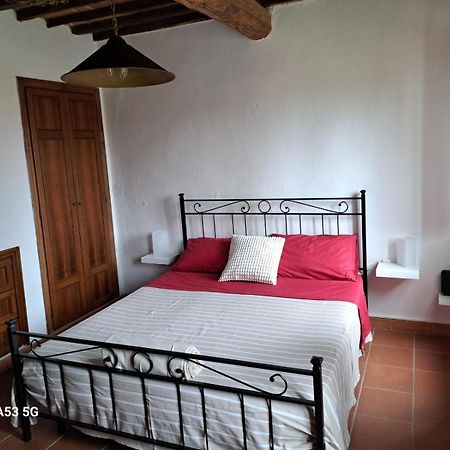 Pepe House Villa Capannori Luaran gambar